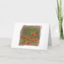 Search for bible verse matthew 6 cards Scripture