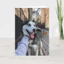 Search for new dog cards Husky