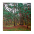 Search for forest tiles Pine