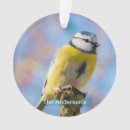 Recherche de oiseaux colorés ornements Mignon