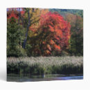 Search for fall avery binders Leaves