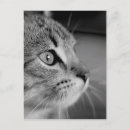 Recherche de contemplation Noir et blanc