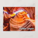 Search for antelope photography Arizona