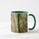 Search for whitetail buck mugs Antlers