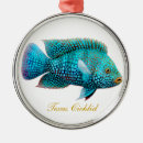 Recherche de aquarium ornaments Poissons tropicaux