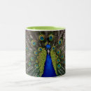 Recherche de peacock tasses Muqueuse