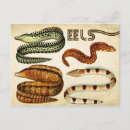 Recherche de anguilles posters Lundi