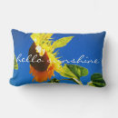 Search for hello sunshine pillows Sunflower