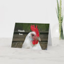 Search for chicken thank you cards Rooster