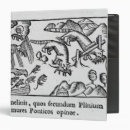 Search for migration binders Animal