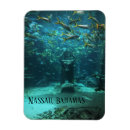 Search for bahamas magnets Paradise