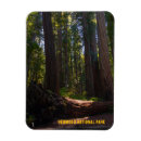 Search for redwood national park magnets Forest