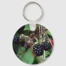 Search for brambles Berries