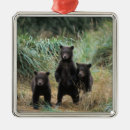Search for grizzly bear ornaments Wildlife
