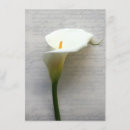Search for calla 4x6 invitations Lily