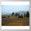 Recherche de awesome posters Nature