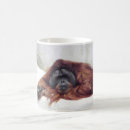 Search for orangutan monkey mugs Nature