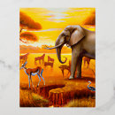 Recherche de animaux africains cartes postales Animal