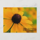 Search for black eyed susan flowers postcards Design