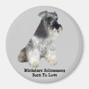 Recherche de miniature schnauzer gifts Chiot