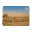 Recherche de cigogne magnets Nature