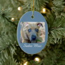 Search for pit bull ornaments Apbt