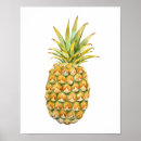 Search for illustration posters Tropical