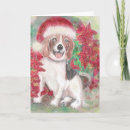 Search for santa beagle christmas cards Red