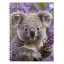Search for koala notebooks Australian