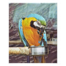 Recherche de perroquet bleu posters Oiseaux