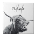 Search for black white cow tiles Animal