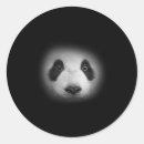Search for animal face stickers Bear