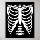 Search for skeleton anatomy posters Bones