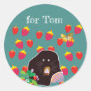 Recherche de la mole autocollants Moine