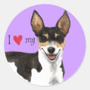 Search for rat terriers stickers Dog