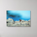 Search for blue grey canvas prints Red