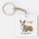 Recherche de pembroke welsh corgi porteclés Chiot