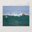 Recherche de surfing cartes postales Ocean