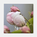 Recherche de goutte de pluie magnets Rose