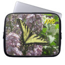 Search for butterflies pictures electronics Flowers