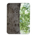 Search for tree trunks magnets Nature