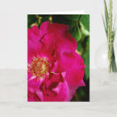 Search for bud cards Petals
