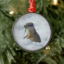 Recherche de squirrels ornements Wildlife