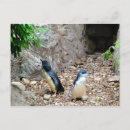 Recherche de expression photographie Animal