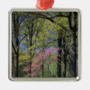 Search for kentucky ornaments Nature