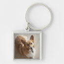 Search for floor keychains Vertical