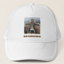 Search for cattle ranch hats Animal