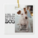 Search for humor ornaments Cute