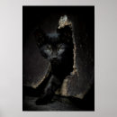 Search for green eyes black cat art Kitten