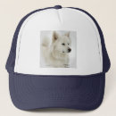 Search for eskies accessories Pets
